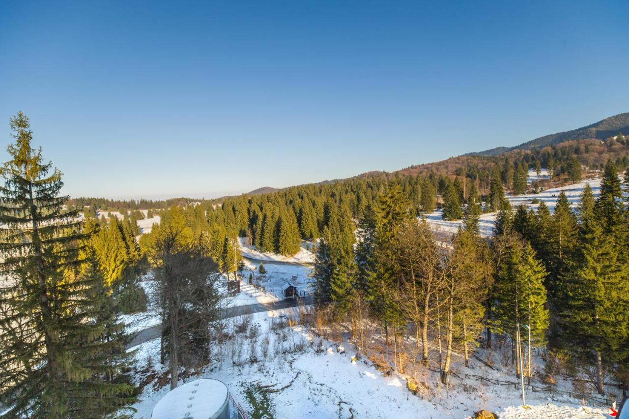 Forest Corner In Silver Mountain Of Brassópojána Kültér fotó
