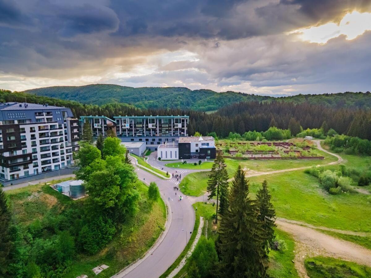 Forest Corner In Silver Mountain Of Brassópojána Kültér fotó